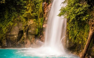 Living the Dash: Lessons from a Costa Rican Jungle Sojourn