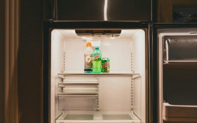 The Fridge Fiasco: A Cool Story of Intuition and Repair