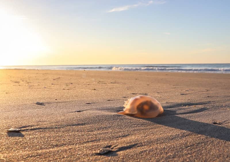 When Your Energy Feels Off (and What to Do About It)